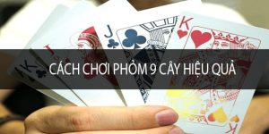 Bí quyết về cách chơi phỏm 9 cây hiệu quả nhất dành cho người mới